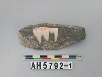 藏品(磨製石器)的圖片